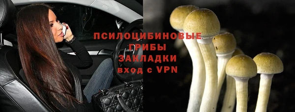 ешки Гусев
