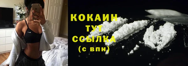 ешки Гусев