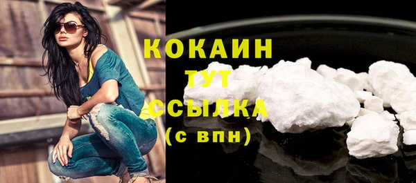 ешки Гусев